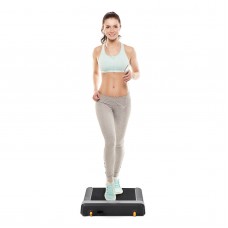 Бігова доріжка FLOW FITNESS WALKING TREAMS DTM100i