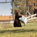 ХОЛОДИЛЬНИК ТУРИСТИЧНИЙ LIFETIME 52 Л