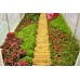 Фольгований тунель 250 x 400 см (10 м²) каркас + біла фольга