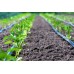 System nawadniania kropelkowego Terplant 8 m