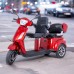 Two-Person Three-Wheel Electric Scooter inSPORTline Zorica Duo Colour Brown