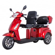 Two-Person Three-Wheel Electric Scooter inSPORTline Zorica Duo Colour Black