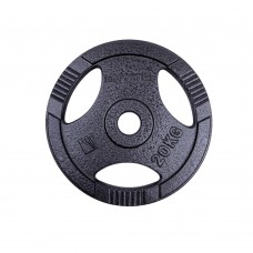 Диск чавунний inSPORTline Hamerton Black 20 кг, 50 мм