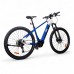 Гірський електровелосипед inSPORTline ISL Tachion 630 Wh 29” – 2025 колір Graphite Neon, розмір рами 21"" (185-195 см)
