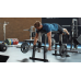 Скамья для тяги лежа Eleiko Seal Row Bench