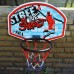 Баскетбольний щит SBA S881RB дитячий 66x46 см