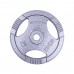 Диск сталевий inSPORTline Hamerton