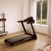 Бігова доріжка електрична KETTLER ALPHA RUN 600