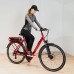 Електричний Kettler TRAVELER E-Gold 8