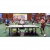 Тенісний стіл Donic Persson 25 ITTF Blue
