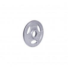 Диск сталевий inSPORTline Hamerton 2,5 кг