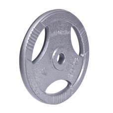 Диск сталевий inSPORTline Hamerton 20кг