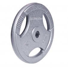 Диск сталевий inSPORTline Hamerton 25кг