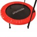 Фітнес-батут з поручнями inSPORTline Skippy Plus 122см
