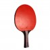 Cornilleau набір SPORT SOLO 432351 INDOOR