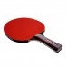 Cornilleau набір SPORT SOLO 432351 INDOOR