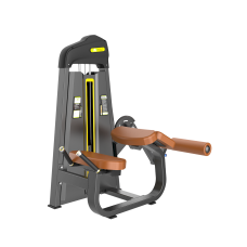 Згинання ніг лежачи Fit-ON F01