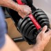 Набірні гантелі Bowflex SelectTech 552i (2-24кг) 2шт