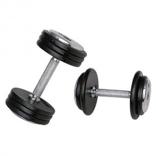 Гантель inSPORTline ProfiST 20кг