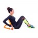 Коляска для мишок брюшного преса inSPORTline AB Perfect BB