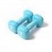 Гантель вініловий Reebok RAWT-11152 2кг