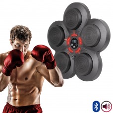 Настінна електронна мішень для ударів inSPORTline Smartpunch