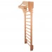 Шведська стінка з аксесуарами inSPORTline Dremar 250 x 90 см