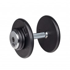 Гантель inSPORTline ProfiST 15кг