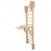 Шведська стінка з аксесуарами inSPORTline Steadyline 250 x 90 см