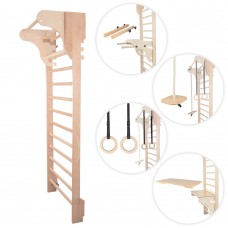 Шведська стінка з аксесуарами inSPORTline Dremar 250 x 90 см