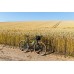 Велосипед 29" Pride ROCX DIRT Tour рама - L 2022 зелений