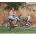 Сидіння пров. Bellelli Rabbit Handlefix до 15кг, сріблясте з червоною підкладкою