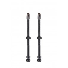 Вентиль Schwalbe для безкамерних ободів, 100mm (2 шт)