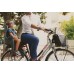 Сидіння задн. Bellelli Mr Fox Standart B-fix до 22кг, сіра з червоною підкладкою