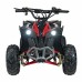 Дитячий акумуляторний квадроцикл RENEGADE HIPERFECT 110CC Червоний