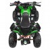 Дитячий акумуляторний квадроцикл RENEGADE HIPERFECT 110CC Зелений