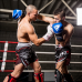 RDX T9 Ace Leather Boxing Gloves - Red / 10oz