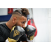 RDX L2 Mark Pro Sparring Boxing Gloves Hook and loop Black / Golden - 16oz / Silver