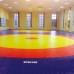 Килим борцівський Sportko кольоровий