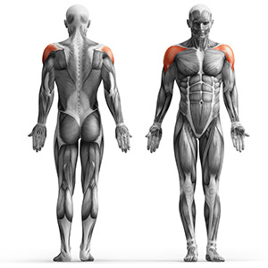 Скамья для жима от плеч - Marbo Sport