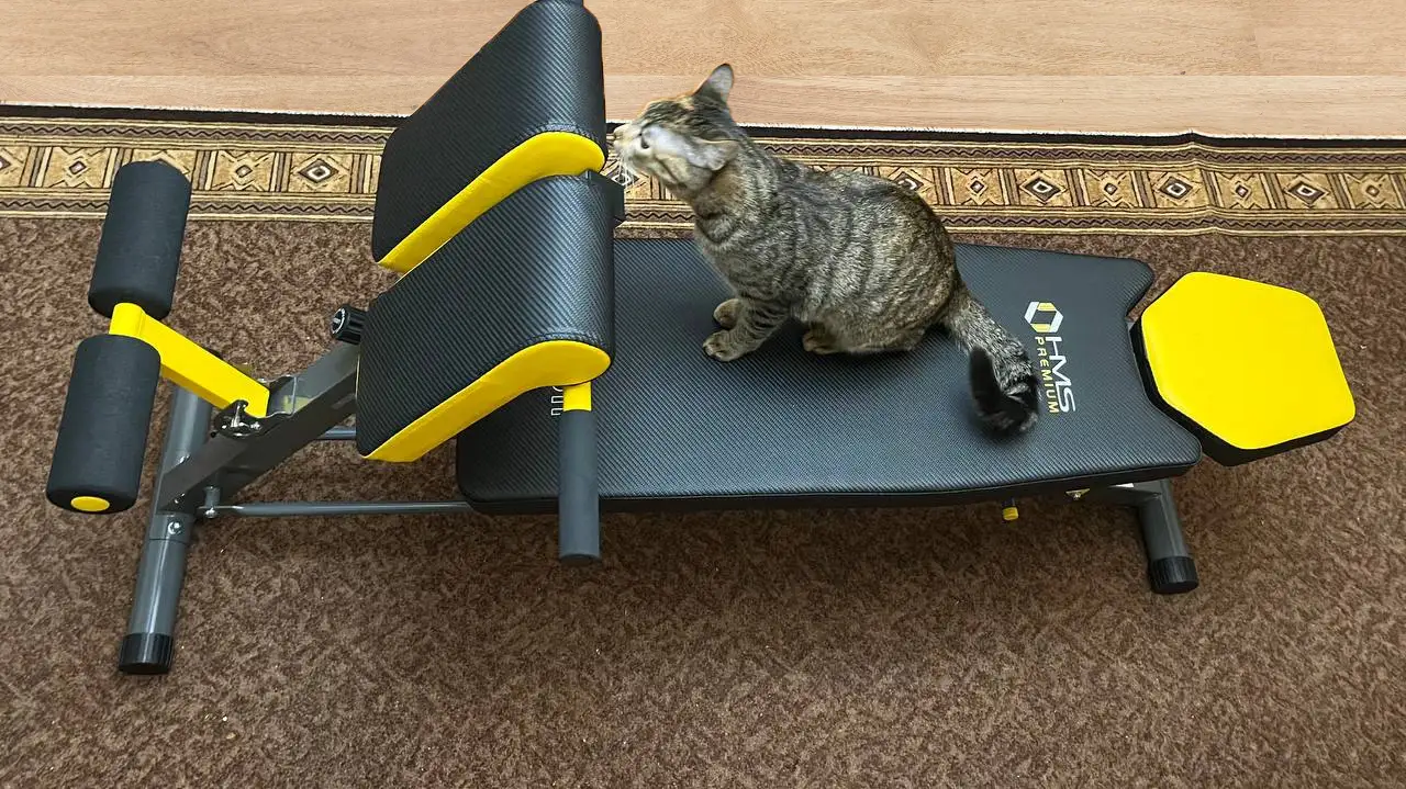 Фото лави надано покупцем Сергієм